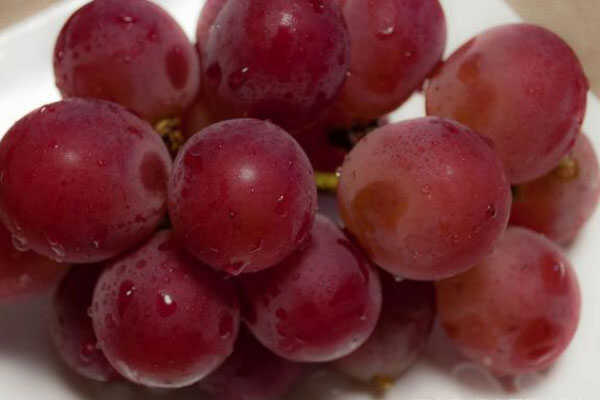 世界上最贵的葡萄，一串26颗7万人民币
