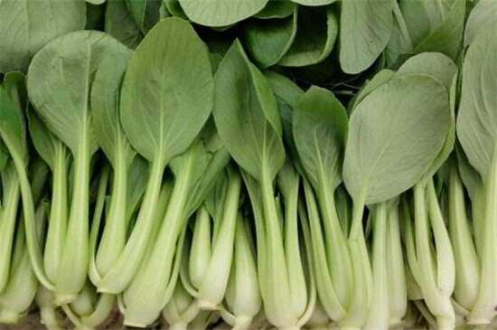 常见的绿叶菜有哪些？盘点十大最常见的绿叶菜