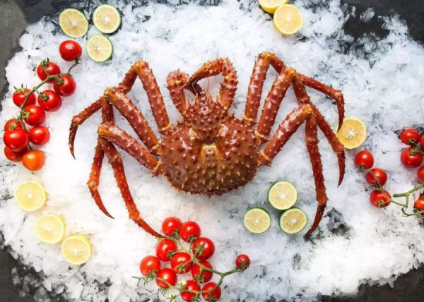 世界上最贵的螃蟹排名前十，中国黄油蟹榜上有名