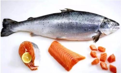 全球人们最爱吃的12种鱼，鳕鱼和鲑鱼上榜