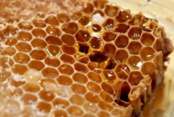 世界上唯一不会变质的食物，非蜂蜜莫属