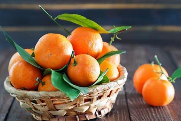 世界上排名前十的柑橘生产国，巴西排第一位