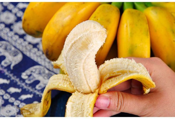 世界上最小的香蕉，小米蕉最长仅8厘米