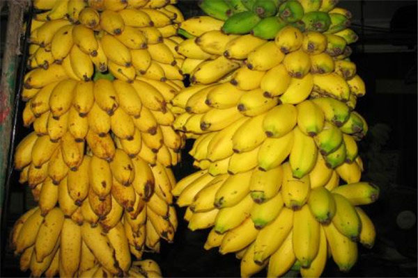 世界上最小的香蕉，小米蕉最长仅8厘米