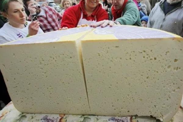 世界上最大的奶酪，重量超26吨有半个人高