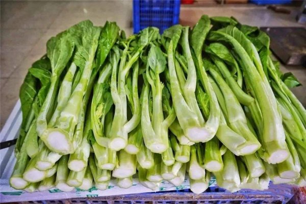 世界上最贵的蔬菜，菜心至尊拍出66万天价