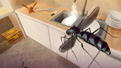 蚊子家庭生活模拟器攻略 有趣的冒险