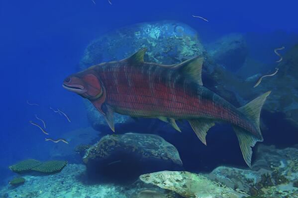 世界最神秘古老的十种鱼：甲胄鱼居首，弹涂鱼排第二
