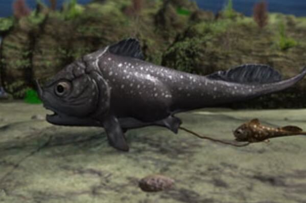 世界最神秘古老的十种鱼：甲胄鱼居首，弹涂鱼排第二