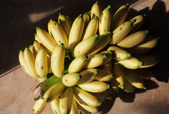 帝王蕉和普通香蕉区别（皇帝蕉价格多少钱一斤）