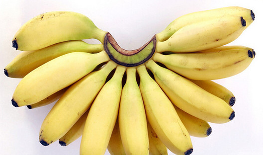 帝王蕉和普通香蕉区别（皇帝蕉价格多少钱一斤）