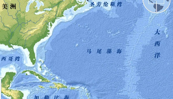 世界上无海岸线的大海，马尾藻海透明度达66米