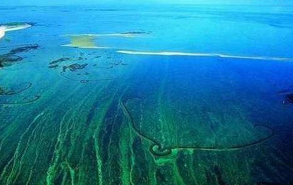 世界上无海岸线的大海，马尾藻海透明度达66米