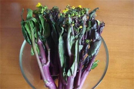 紫色叶子的菜有哪些？盘点十种营养价值高的蔬菜