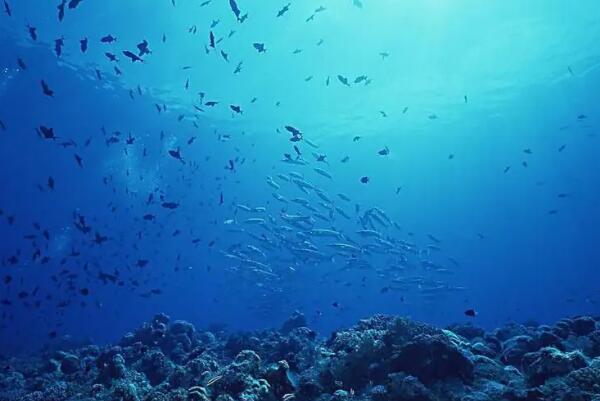 四大洋最大最深的是哪个？太平洋（最大深度是11034米）
