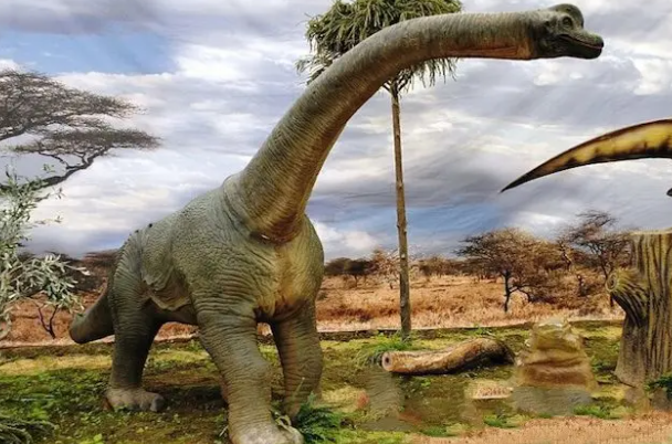 史上最大的恐龙是什么：地震龙(体长在32到36米之间)