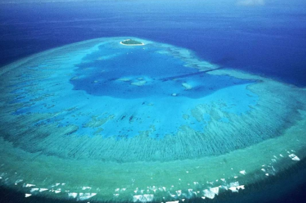 世界上最大的海：珊瑚海(面积可达479.1万平方公里)