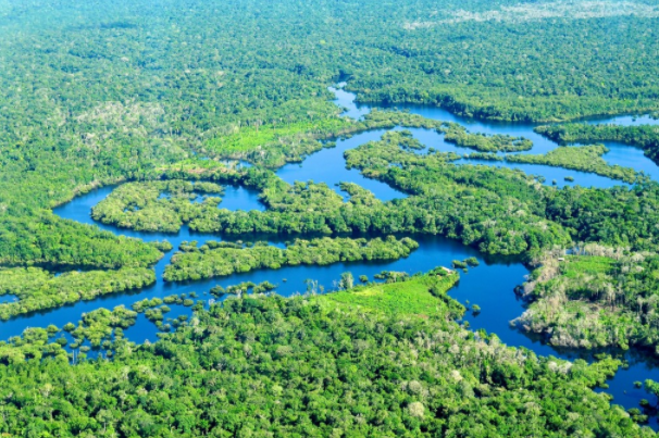 世界上最大的平原：亚马逊平原(总面积达560万平方千米)