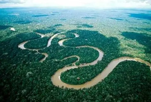 世界上最大的平原：亚马逊平原(总面积达560万平方千米)