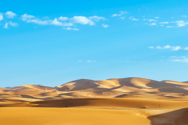 世界上最大的沙漠：撒哈拉沙漠(面积约932万平方千米)