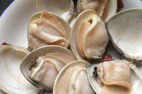 最好吃的十大贝类食物，第二是名贵海珍品，生吃的贝类排第三(生蚝