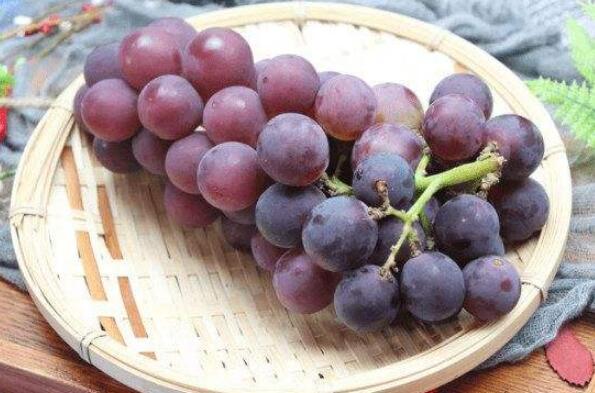 世界公认的十大养生水果 葡萄上榜，第八被誉为“水果皇后”