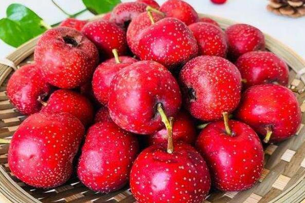 十大提高免疫力的水果排行榜 樱桃上榜，第七是“水果之王”