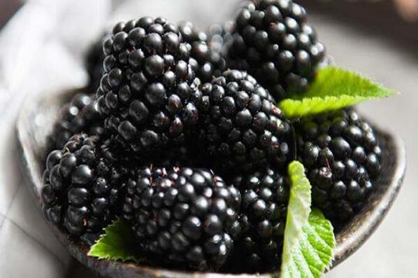 十大对身体有益的水果 蓝莓上榜，第四也被称为“生命之果”