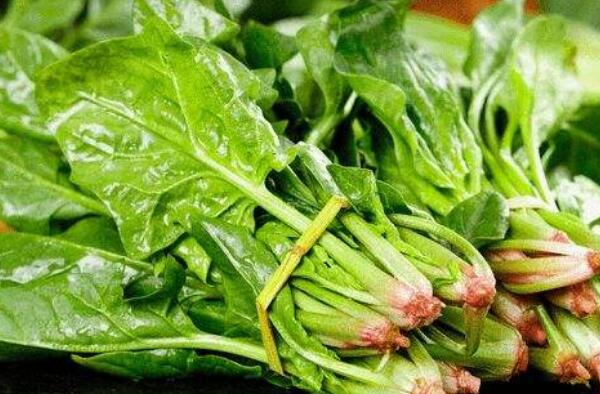冬天适合吃的16种蔬菜 山药上榜，第九也被称为“皇帝菜”