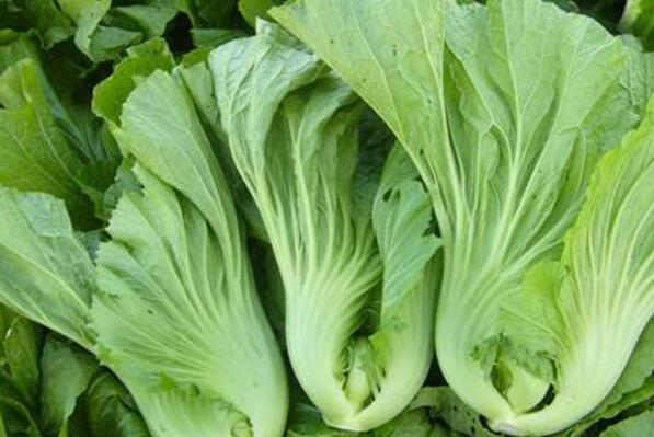 冬天适合吃的16种蔬菜 山药上榜，第九也被称为“皇帝菜”