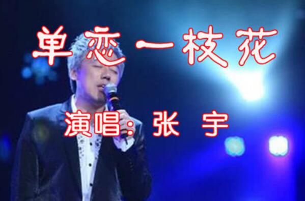 张宇最经典的十首歌 《月亮惹的祸》第二，《用心良苦》上榜