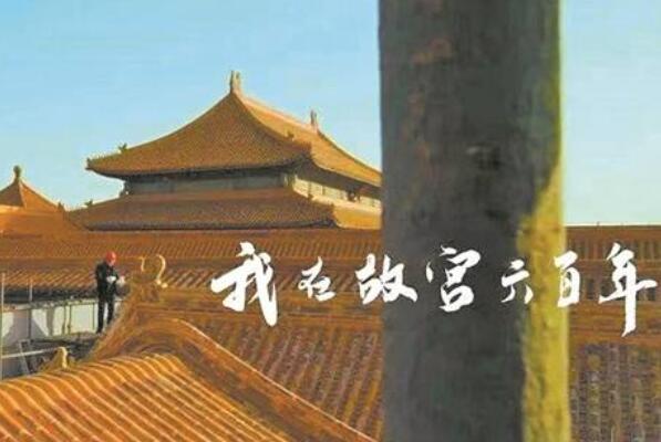 豆瓣2021评分最高纪录剧集-豆瓣评分纪录片排行榜