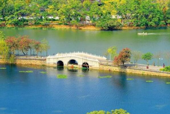 广东十大免费旅游景点 三水森林公园上榜，第一位于深圳