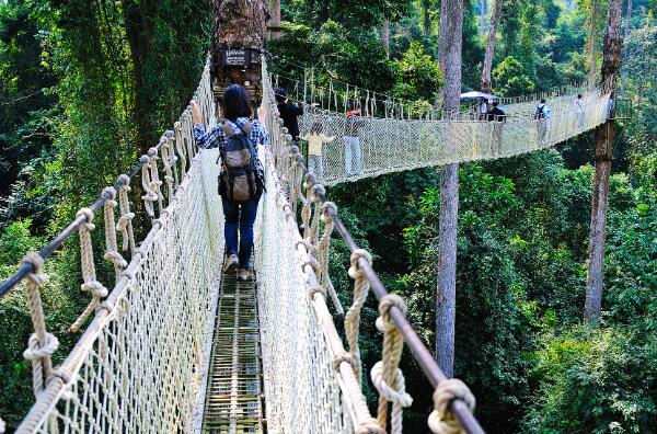 西双版纳十大旅游景点排名 西双版纳热带植物园第一，曼听公园上榜