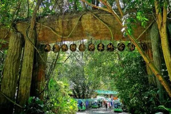 西双版纳十大旅游景点排名 西双版纳热带植物园第一，曼听公园上榜