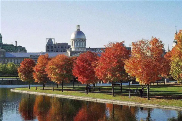 加拿大十大城市排行榜 哈密尔顿上榜第二安静而舒适