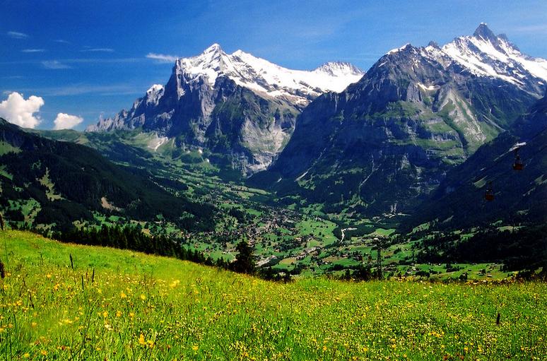 阿尔卑斯山是哪个国家的？阿尔卑斯山是不是最大的山？