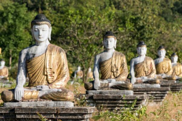 盘点世界五大佛教圣地，鹿野苑上榜，第一是中国佛教四大名山之一