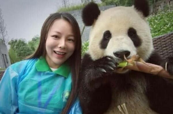 十大最幸福职业排行榜 熊猫饲养员上榜,第一令人羡慕