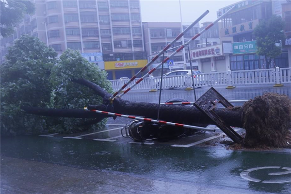 菲律宾最强台风排行榜：海马上榜，第一破坏力最强