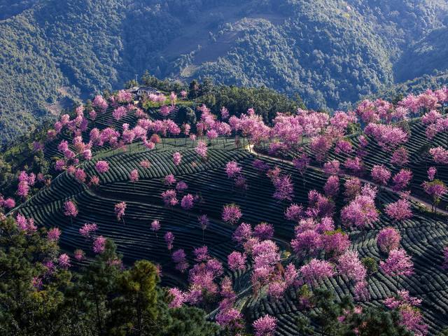 十一月国内最佳旅游地 景点推荐 云南值得一去
