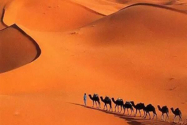 世界十大沙漠面积：戈壁沙漠排名第5 第1形成于250万年前