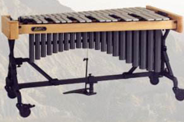 十大最冷门乐器：像飞碟一样的Hang Drum你有见过吗？