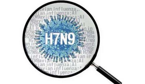 2017年武汉h7n9疫情,确诊十例均为重症患者