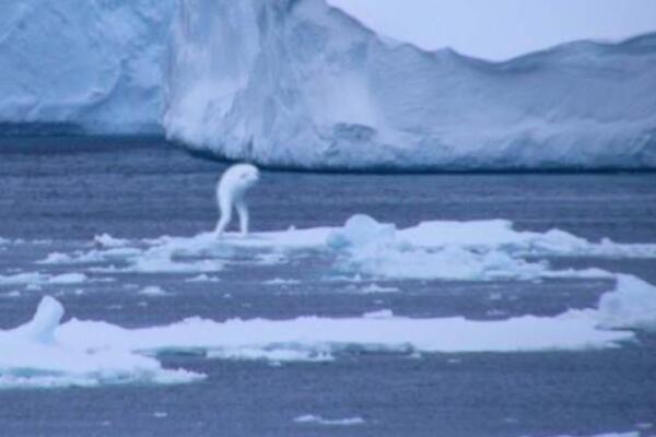 慎入!南极洲十大未解之谜 你听说过多少?