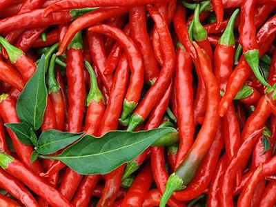 含维生素最多的蔬菜是辣椒