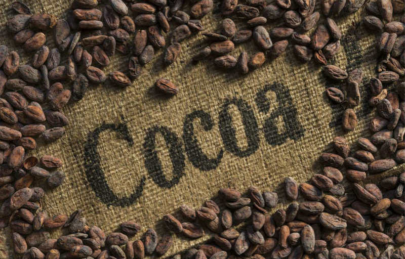 巧克力曾被当做流通货币使用？