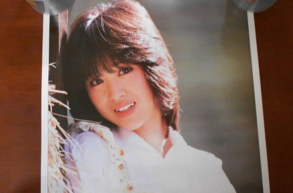 日本十大殿堂级女歌手 滨崎步上榜，第五最具影响力