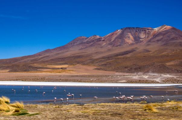 世界十大高原盘点，玻利维亚高原上榜，第一被誉为世界屋脊