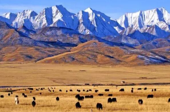 世界十大高原排名 墨西哥高原上榜，青藏高原位居第一